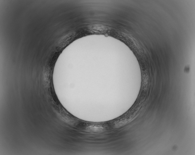 X0000116260749201001110953