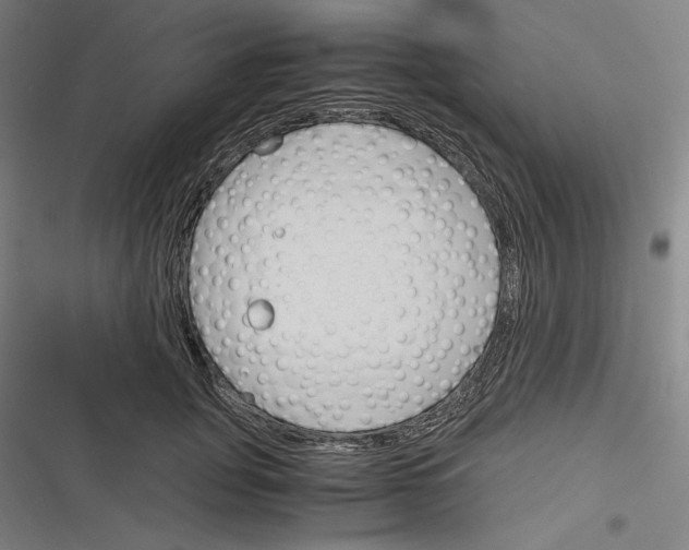 X0000116260751201001110953