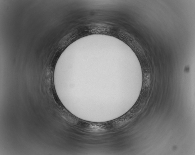 X0000116260753201001110953
