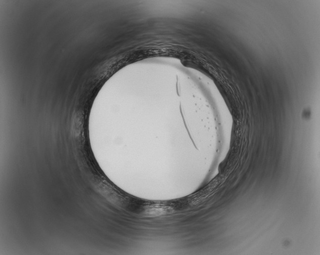 X0000116260754201001110953