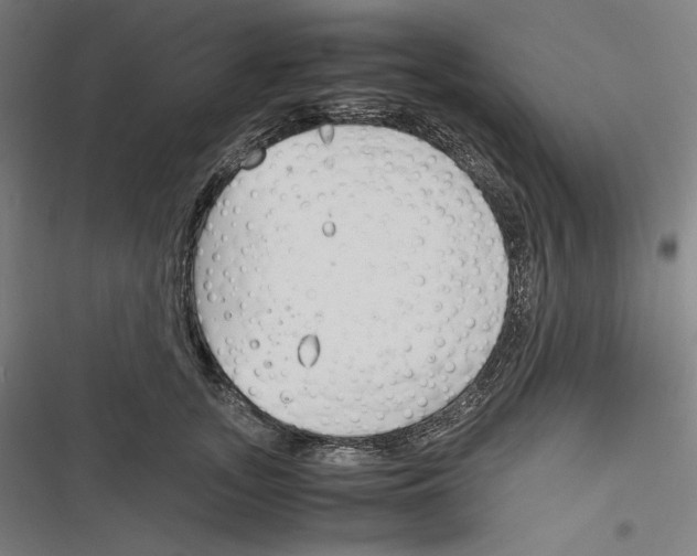 X0000116260755201001110953