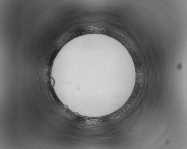 X0000116260757201001110953