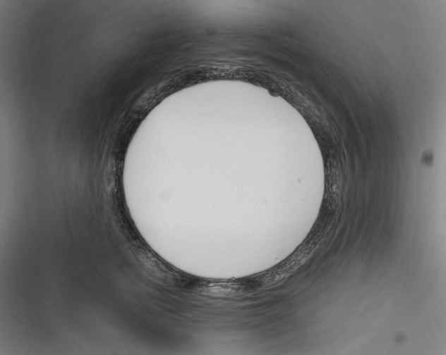 X0000116260758201001110953