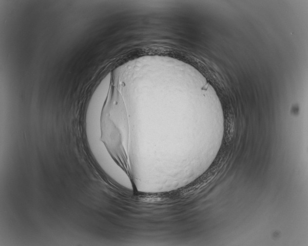 X0000116260759201001110953