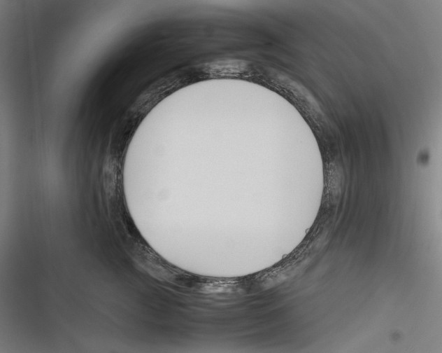 X0000116260761201001110953