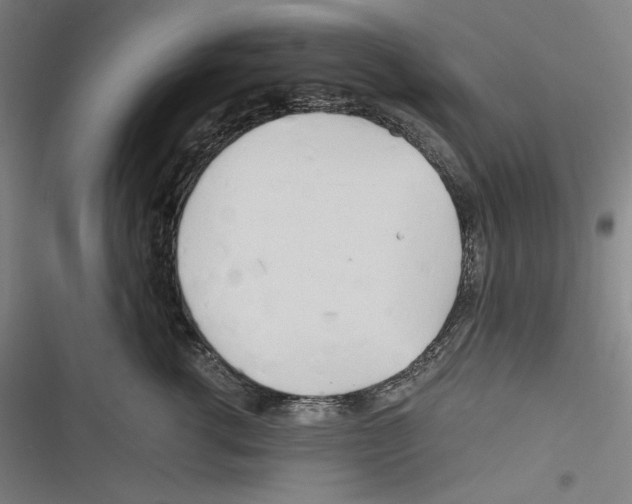 X0000116260762201001110953