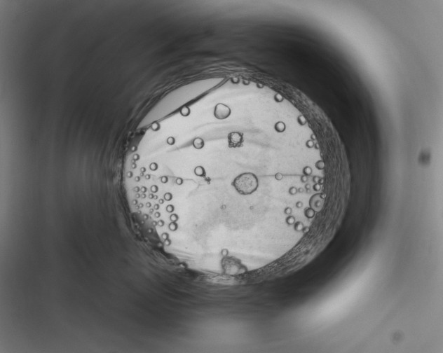 X0000116260767201001110953