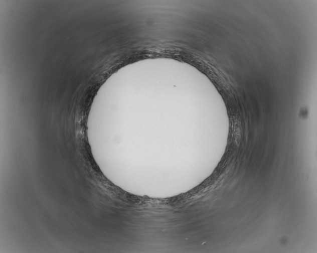 X0000116260770201001110953