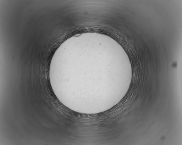 X0000116260772201001110953