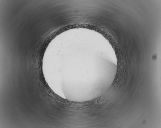 X0000116260773201001110953
