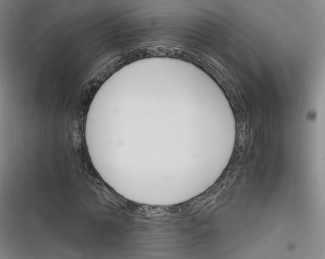 X0000116260774201001110953