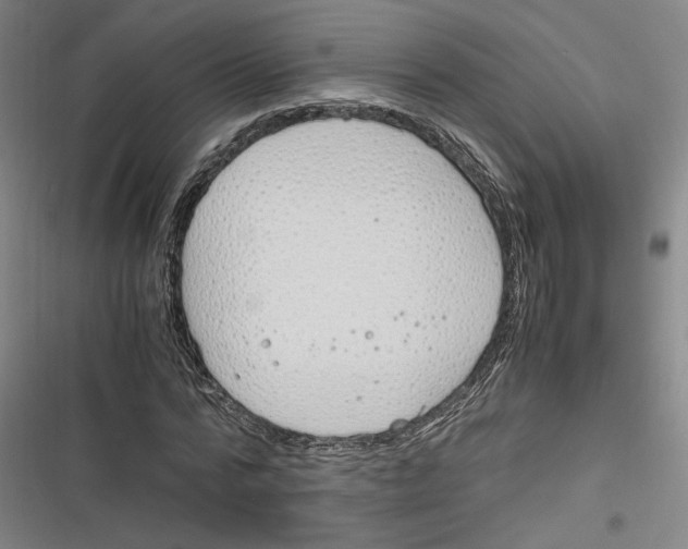 X0000116260776201001110953