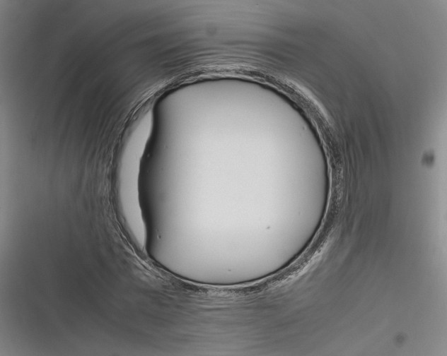X0000116260777201001110952