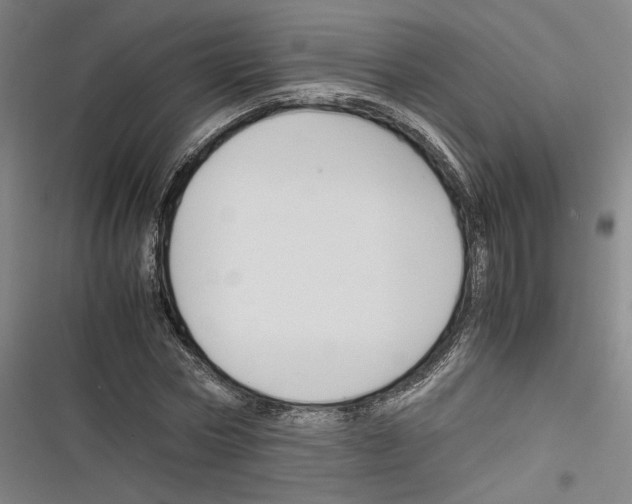 X0000116260778201001110952
