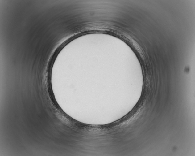 X0000116260779201001110952