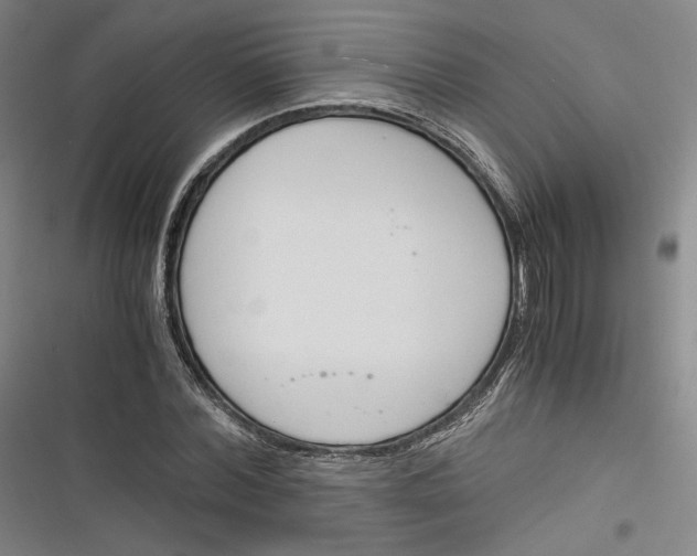 X0000116260780201001110952