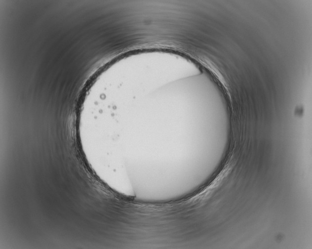X0000116260781201001110952