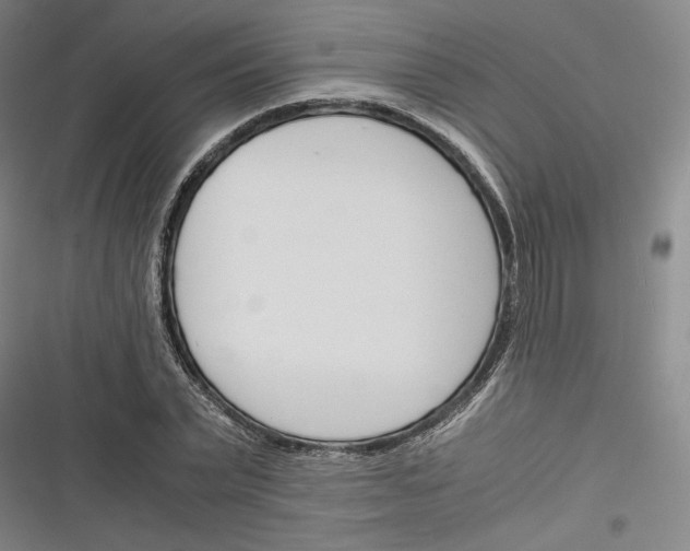 X0000116260783201001110952
