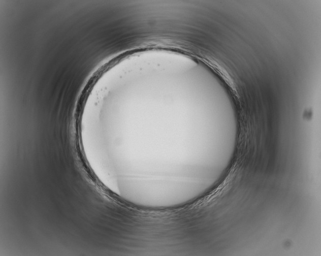 X0000116260784201001110952
