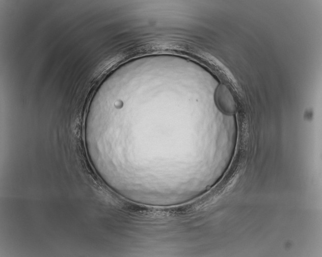 X0000116260785201001110952