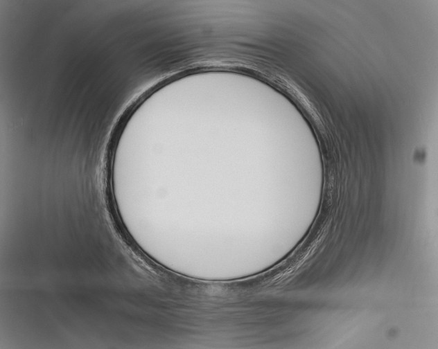 X0000116260787201001110952