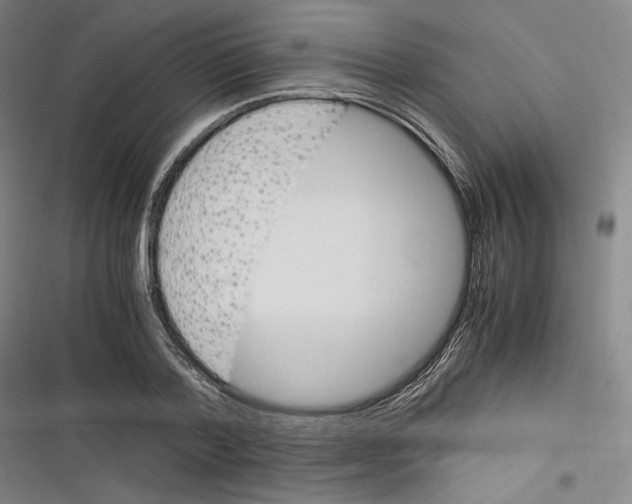 X0000116260788201001110952