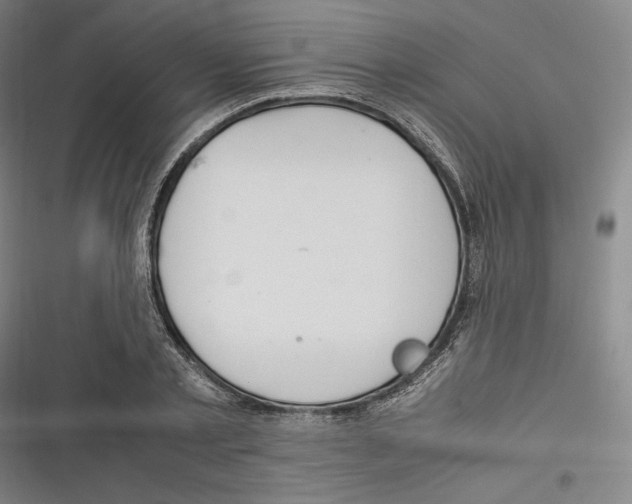 X0000116260789201001110952