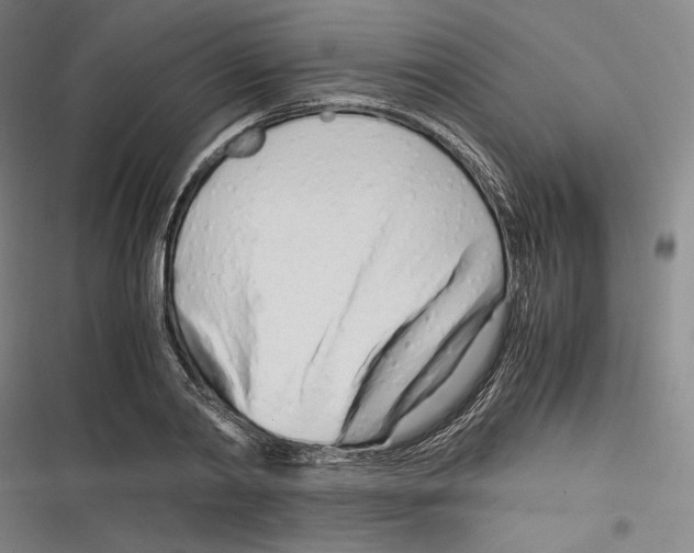 X0000116260790201001110952