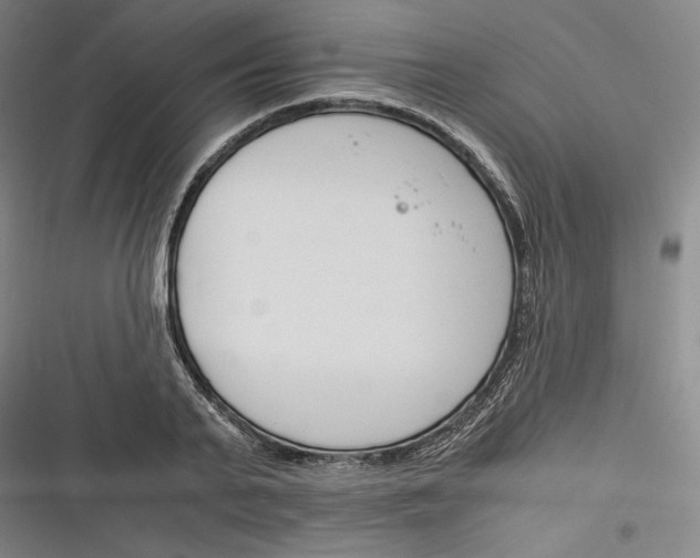 X0000116260791201001110952