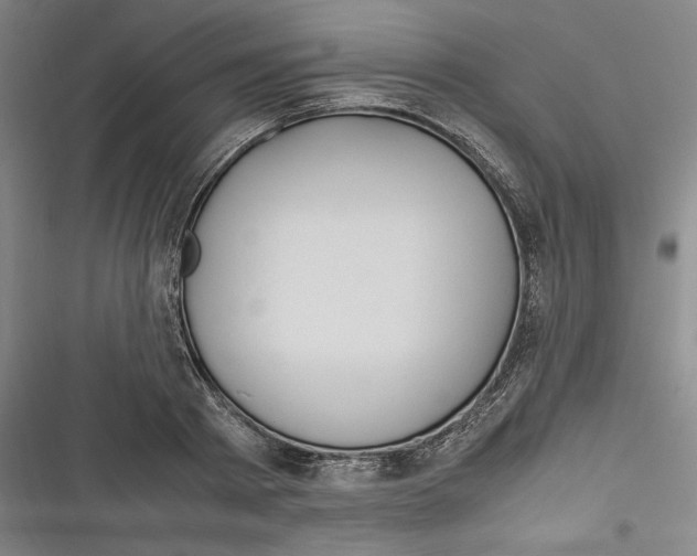 X0000116260793201001110952