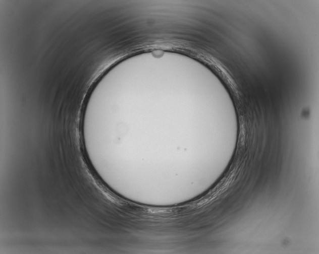 X0000116260794201001110952