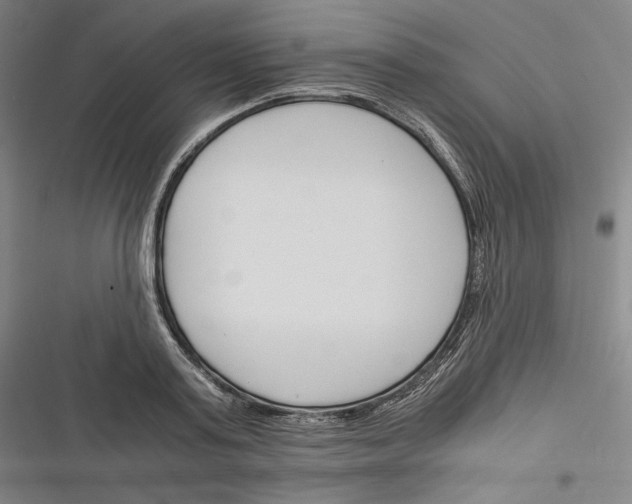 X0000116260795201001110952
