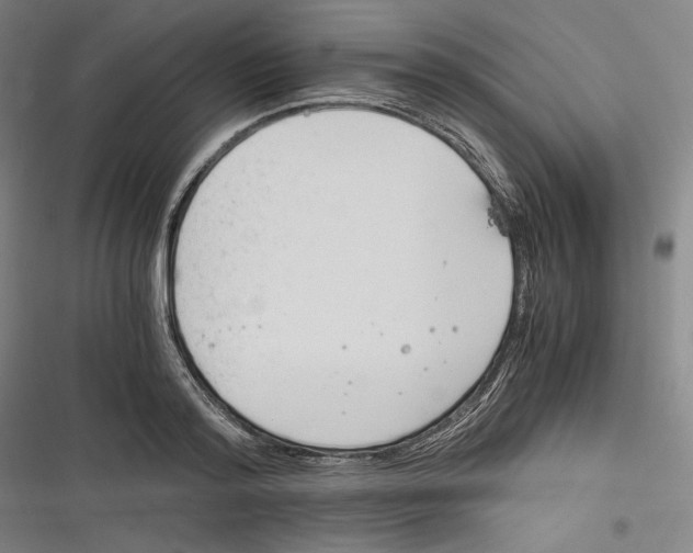 X0000116260796201001110952