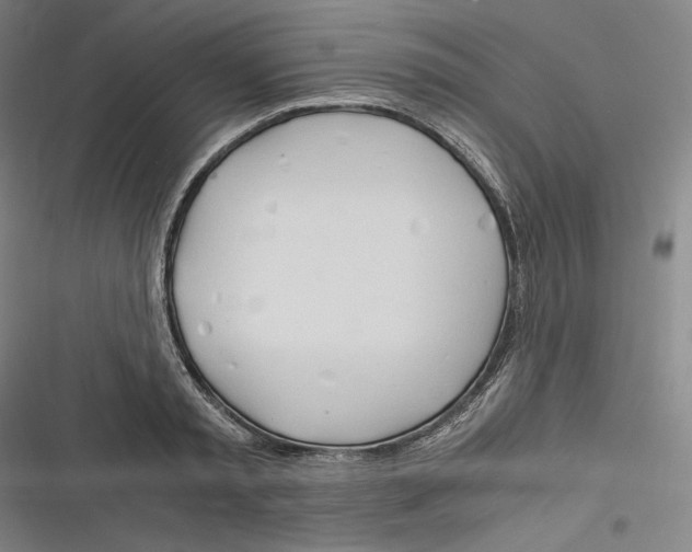 X0000116260797201001110952