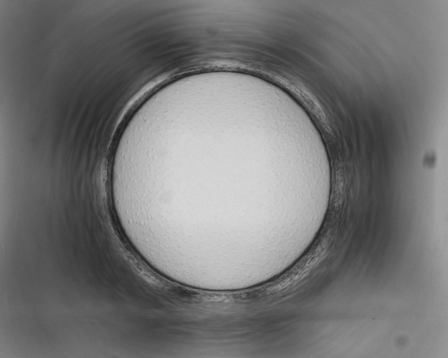 X0000116260798201001110952
