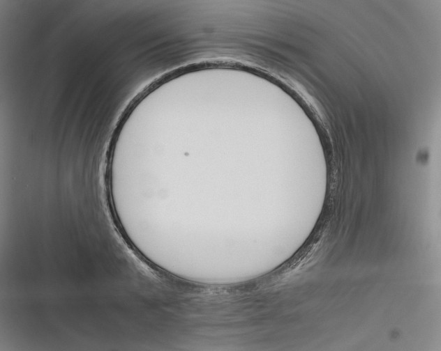 X0000116260799201001110952