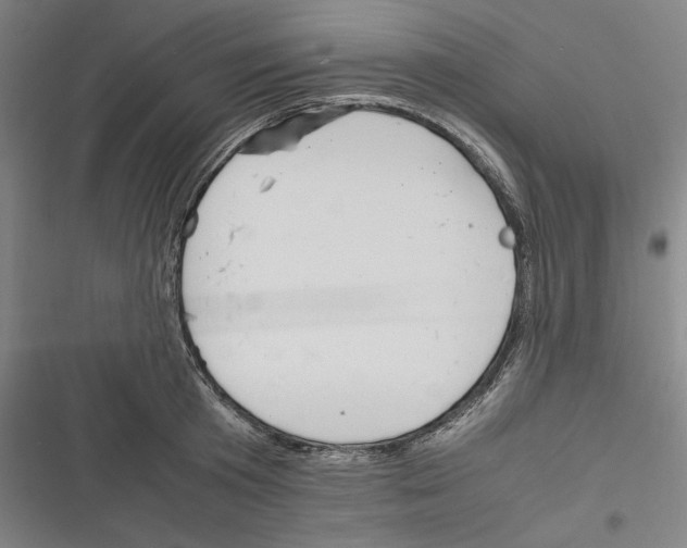 X0000116260801201001110952