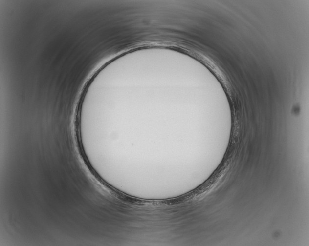 X0000116260803201001110952