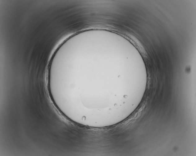 X0000116260804201001110952