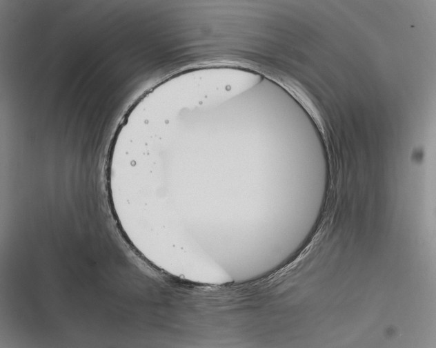 X0000116260805201001110952