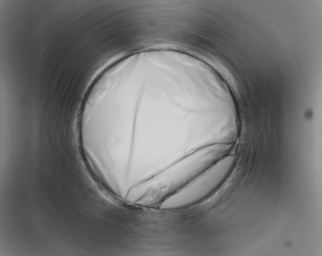 X0000116260806201001110952