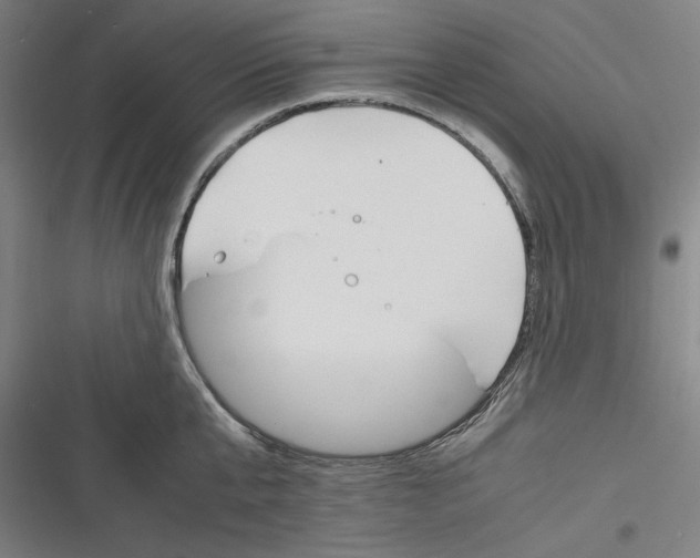 X0000116260807201001110952