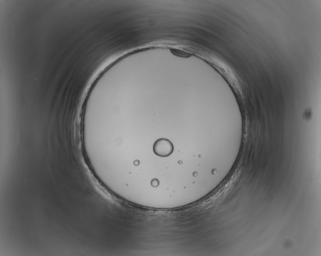 X0000116260808201001110952
