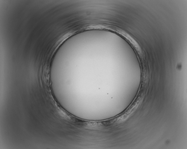 X0000116260809201001110952