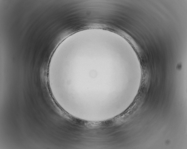 X0000116260810201001110952