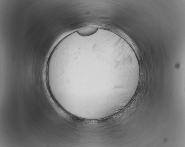 X0000116260811201001110952