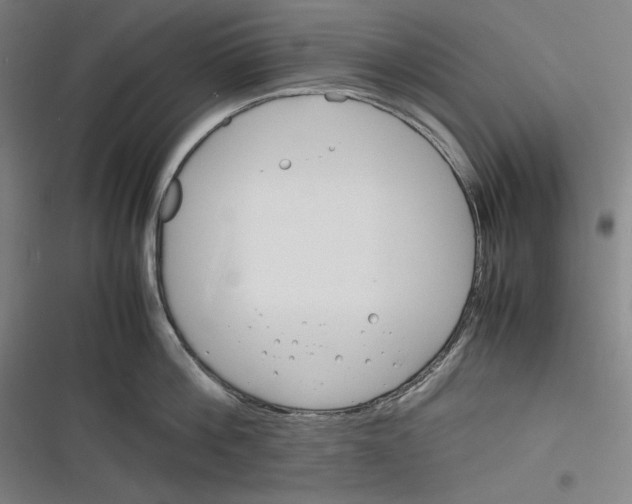 X0000116260812201001110952