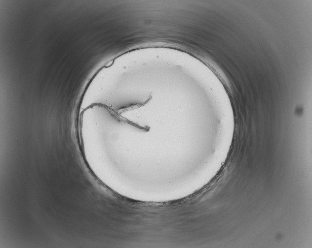 X0000116260813201001110952