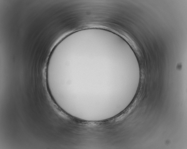 X0000116260814201001110952