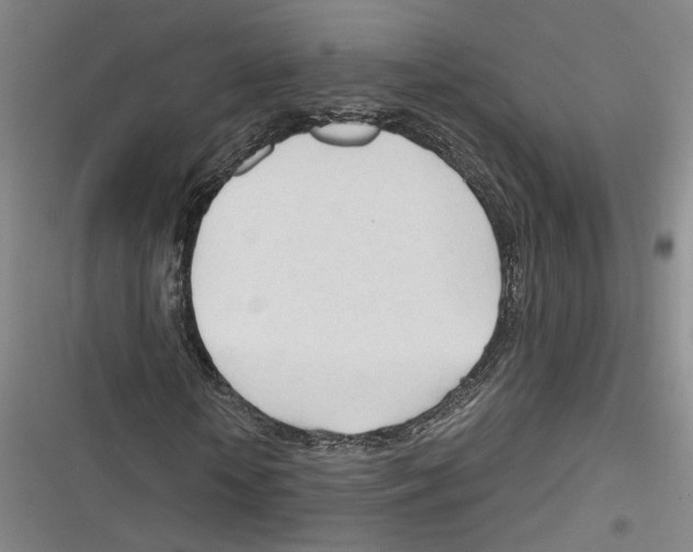 X0000116260818201001110951